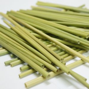 Paille d'herbe écologique à prix compétitif de haute qualité Pailles d'herbe à boire naturelles du Vietnam Pailles d'herbe verte - Product Image 5