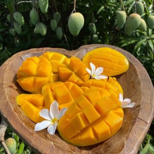 Rodajas de Mango Seco Premium 100% Dulce de Vietnam envasadas al vacío, Naturales y Deliciosas - Product Image 3