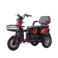 2025 CE Trike Trike Café Moto Moto Japon 3 Roues Passager Tricycle Vélo Électrique E-bike