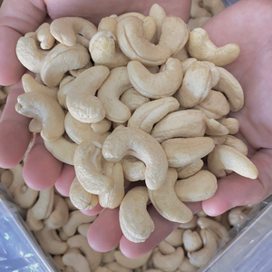 Fournisseur de confiance du Vietnam Noix de cajou grillées Noix de cajou W320 Noix de cajou exportées à Dubaï, Moyen-Orient, Dubaï, Moyen-Orient - Product Image 1