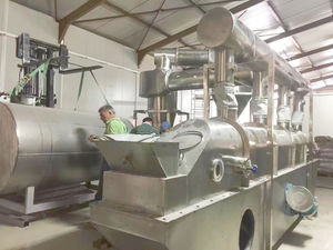 Séchoir à lit fluidisé horizontal en acier inoxydable pour l'industrie alimentaire Séchoir à lit fluidisé au sésame vibrant - Product Image 2