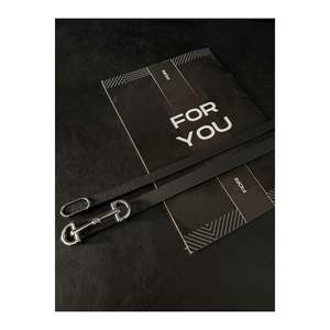 Ceinture fine à boucle ovale argentée importée, 2 pièces, ceinture pour pantalon, ceinture pour chemise, ceinture pour veste - BlackS2li - Product Image 1