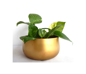 Florero de lujo nueva vajilla hecha a mano Artículos para el hogar Jarrones Decorativos Sala de estar Decoración del hogar Fabricante mayorista Exportador - Product Image 5