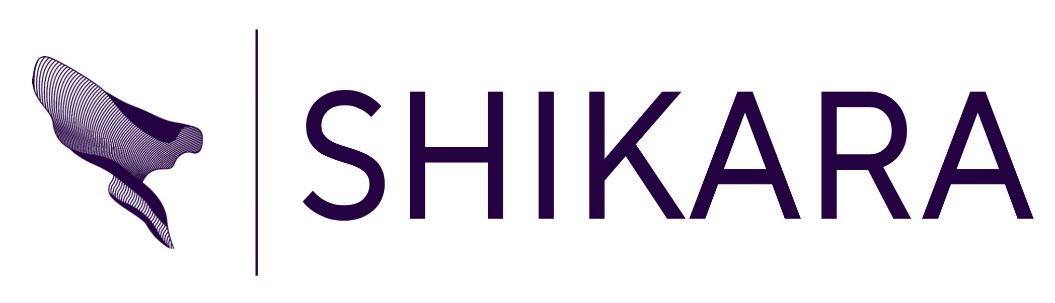 SHIKARA ELECTRONIC COMPANY logo