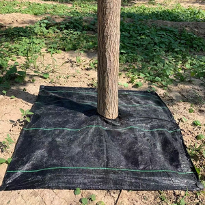 חממה אנטי דשא בד estera de malezas נוף בד שטח כיסוי שטח ארוג מחסום - Product Image 2