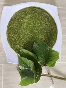 Hojas de Camote Mezcladas Listas para Usar para Procesamiento de Alimentos, Catering y Restaurantes - Product Image 4