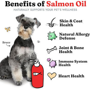 Gubeyka Natural Dog <span class=keywords><strong>Company</strong></span> Formule d'huile de saumon d'Alaska sauvage Complément liquide pour chiens - Product Image 4