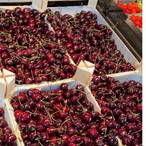 High Quality Premium Grade AA <b>Red</b> Cherries | Firm Texture & High Brix (18\%+) | 2026 Fresh <b>Harvest</b> Export - Product Image 5