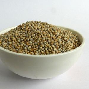Alimentation animale de Bajra de millet vert dans la bonne qualité disponible pour l'exportation - Product Image 3