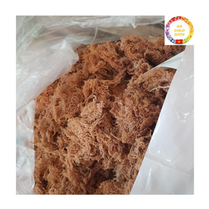 Vente en gros d'algues Cottonii séchées de haute qualité mousse de mer d'Eucheuma biologique 100 pour cent source naturelle du Vietnam - Product Image 1