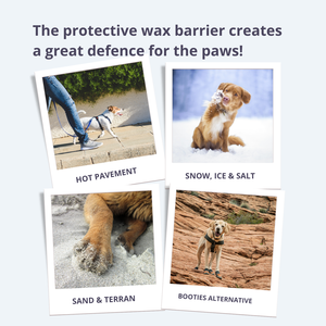 100% טבעוני כלב טבעי לכלב האף מזור בריאות לחיות מחמד & תוספת כי לחות תנאים מקל על רפידות סדוקות יבש - Product Image 6