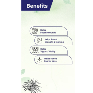 Safedmusli แคปซูล800มก., แคปซูลธรรมชาติและทรงพลังความแข็งแกร่งและภูมิคุ้มกันบูสเตอร์60แคปซูลแพ็คสมุนไพรสีขาว1เม็ด - Product Image 2