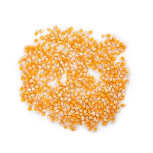 ข้าวโพดสีเหลืองสำหรับอาหารสัตว์ปีก จัดส่งรวดเร็ว ผลผลิตใหม่ ขายส่ง มีสินค้าในสต็อก ราคาถูก ซื้อเลย ข้าวโพดสำหรับคนและสัตว์ คุณภาพสำหรับอาหาร - Product Image 1