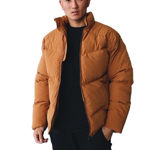 Veste matelassée légère à manches longues pour homme, col montant confortable, manteau en duvet pour l'hiver - Product Image 1