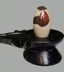 Narmada River Stone Shivling Narmadeshwar Original Bana Linga con Jaladhari - Product Image 1