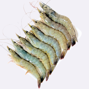 Camarón tigre negro congelado de Vietnam, Exportación a granel de alta calidad - Product Image 6