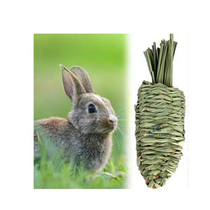 Conejito Masticar Juguetes Dientes Masticar Hierba Zanahoria Aperitivos para mascotas Juguetes Tratar Hierba Bolas de sauce Conejo Hámster Guinea - Product Image 4