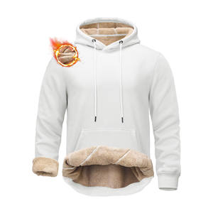 Sweats à capuche surdimensionnés en coton éponge française personnalisés de haute qualité Streetwear hiver épais sweats à capuche pour hommes unis à épaules tombantes - Product Image 1