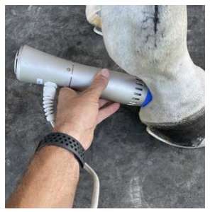 घोड़े और छोटे पालतू जानवरों की चिकित्सा के लिए पशु चिकित्सा फिजियोथेरेपी डिवाइस रेडियल शॉक वेव थेरेपी मशीन - Product Image 4