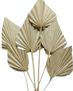 ใบปาล์มหอกใบปาล์มธรรมชาติใบปาล์มปาล์มรูปหอกสำหรับวันแม่วันวาเลนไทน์วันคริสต์มาสขอบคุณของขวัญสำหรับทุกๆครั้ง - Product Image 3