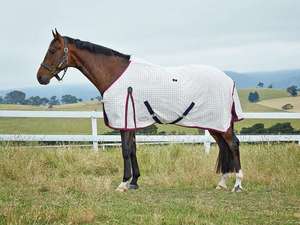 Manta impermeable para caballo White Horse Rug con gran solapa para la cola y 2 correas para las patas, tela Oxford, para uso en exteriores en todas las estaciones. - Product Image 4