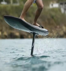 ORIGINAL Unisex World Wide Delivery Motorizado Eléctrico L Salpicaduras de agua para aguas marinas - Product Image 6