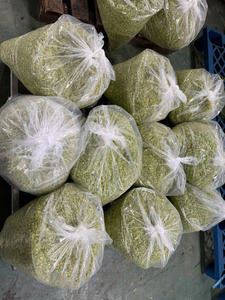 Approvisionnement en vrac sans OGM de citronnelle congelée de haute qualité directement du Vietnam pour l'industrie des aliments et des boissons-Caryln 0084935825297 - Product Image 6