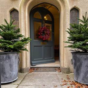 Macetas biodegradables ecológicas para plantación sostenible del fabricante y proveedor indio - Product Image 4