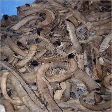 ของเล่นเคี้ยวสำหรับสุนัข ทำจากเขาควายอินเดีย คุณภาพสูง ดีต่อสุขภาพ เป็นธรรมชาติ ยั่งยืน พร้อมลวดลายดอกไม้แกะสลัก |   งานฝีมือมากมาย - Product Image 3