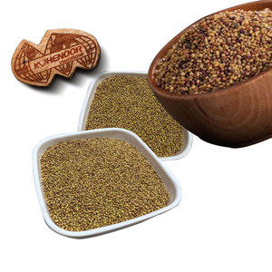 Trèfle Berseem | Couverture de feuilles denses pour un meilleur rendement - Product Image 3