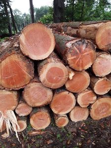 แผ่นไม้อัดเบิร์ชสำหรับโรงแรมวิลล่าโรงแรมดีไซน์ E0ฟอร์มาลดีไฮด์ไม้วอลนัทดีไซน์ทันสมัยเป็นมิตรกับสิ่งแวดล้อม - Product Image 3