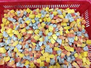 FRUTAS CONGELADAS MIXTAS DE CALIDAD PREMIUM DE VIETNAM-MEJOR VENDEDOR PARA MERCADOS DE EXPORTACIÓN - Product Image 2