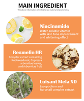 LEBELAGE Crème de Nuit Hydratante et Raffermissante Anti-rides Double Action Éclaircissante à la Niacinamide, à l'Acide Tranexamique et à la Vitamine C pour Tous Types de Peaux