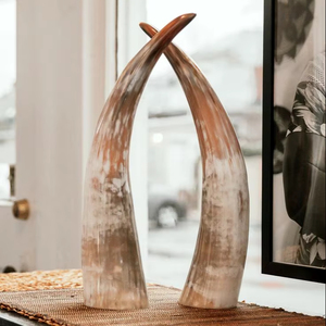 Lo último en diseño, superventas, hecha a mano la mejor calidad de cerveza, cuerno para beber vikingo pulido personalizado para Navidad - Product Image 1