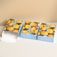 Boîte d'emballage personnalisée pour produits de soin personnel, cosmétiques, diffuseurs de vapeur biodégradables, couleur jaune aseptique, taille personnalisée, livraison rapide