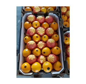 이집트 원산지 수출 하이 퀄리티 천연 달콤한 맛있는 신선한 배꼽 오렌지 감귤류 과일 도매 구매자 대량 가격