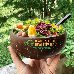 Cuenco de cáscara de coco con cuchara/Natural Ecológico Kokosnussschale Hecho a mano Logotipo personalizado Batido 500ml Cuenco de coco natural - Product Image 2