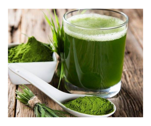 Polvo orgánico de extracto de hoja de Moringa a granel superventas en EE. UU. - Product Image 1