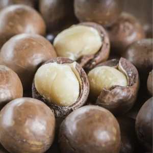 Wholesale Vietnam <b>Macadamia</b> <b>Nuts</b> | Fresh Crop High Quality - Product Image 6