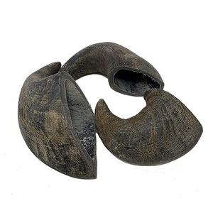 Venta al por Mayor de Cuerno de Búfalo Natural para Masticar para Perros, Alimento para Perros de Razas Grandes de Exportador Indio - Product Image 4