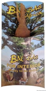 Kit pequeño Baobab (Adansonia Digitata) - Product Image 1