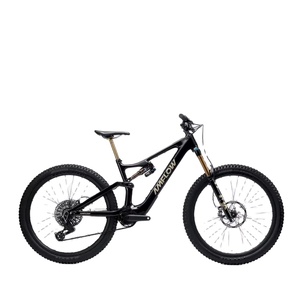 Top Quality For New 2026 Amflow PL Carbon Pro 800Wh Adult Electrics Mountain Bike With 2-Year Warranty Ready to Ship - Product Image 1