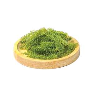 UVAS DE MAR DESHIDRATADAS De Vietnam, nutritivas, veganas-Buen precio - Product Image 4