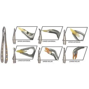 Pinzas de Extracción Dentales Universales Pediátricas PISSCO 150S - Product Image 5