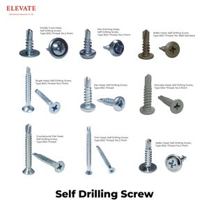 Productos de Alta Demanda de 2025, Tornillo Autoperforante con Cabeza de Oblea Estándar AS 3566 para Fijación de Tableros Resistentes a la Humedad en Lavanderías - Product Image 6