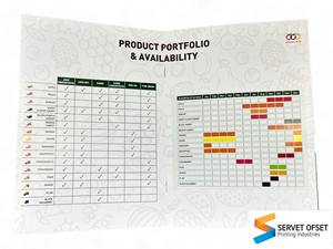 Service d'impression offset personnalisé en gros pour brochures/dossiers/magazines/catalogues/brochures en carton kraft - Product Image 6