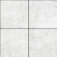Azzaro – conception naturelle en 600x600mm par Novac céramique LLP inde carreaux de porcelaine polie nitrifiée pour la construction de bureaux