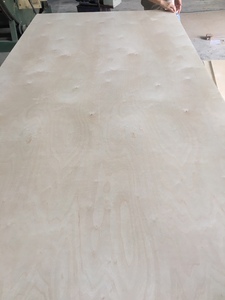 Fabricant vietnamien Feuilles de contreplaqué de bouleau de qualité commerciale directe Conception moderne durable E0 Normes d'émission de formaldéhyde pour - Product Image 2