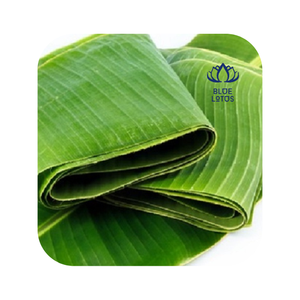 เวียดนามแช่แข็ง IQF กล้วยใบจากขายส่งผลิตภัณฑ์การเกษตรราคาที่ดีที่สุด - Product Image 2
