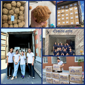 Venta caliente Eco Friendly Coir Ball Dog Toy para estimulación de encías y eliminación de placa Accesorio sostenible para mascotas para perros - Product Image 2